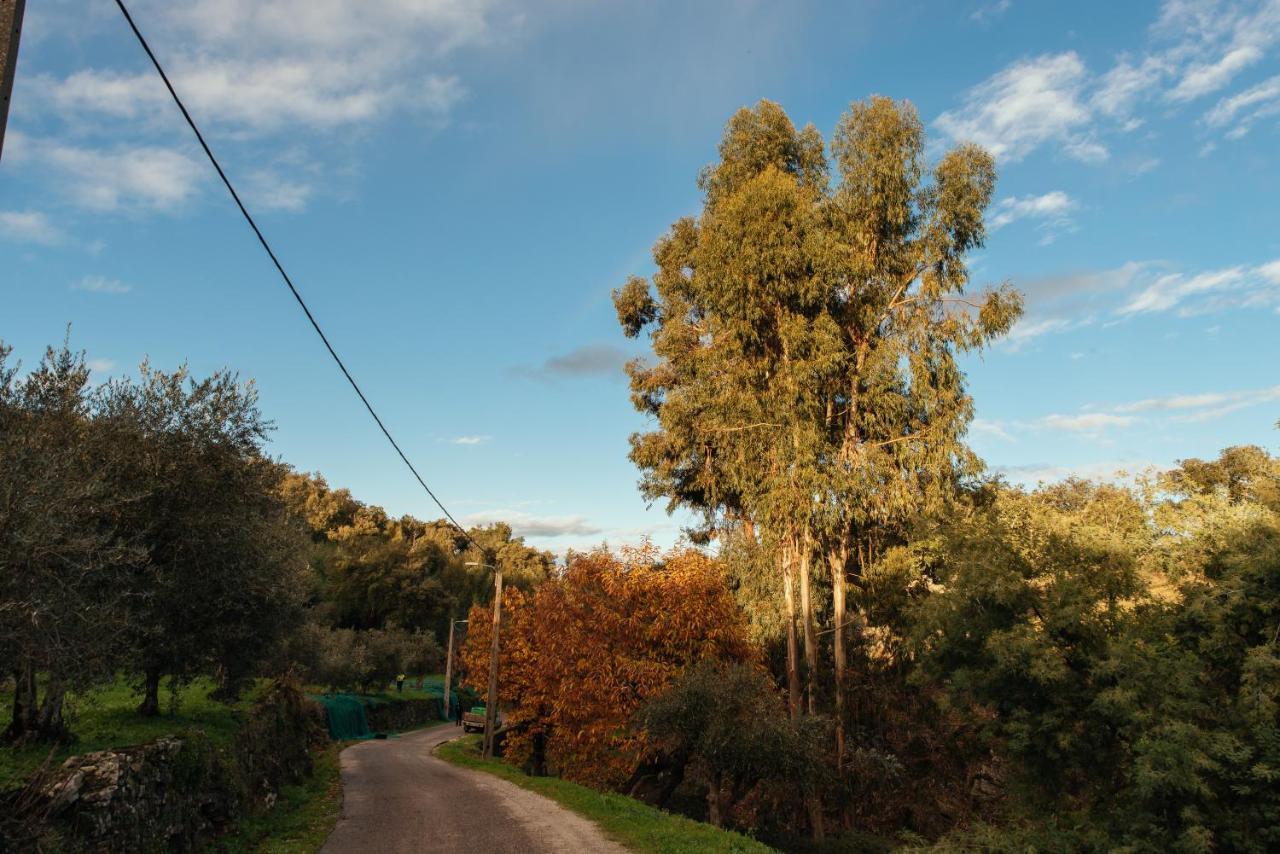 Azeite De Marvao, Olivoturismo Casa Venda Do Lagar别墅 外观 照片